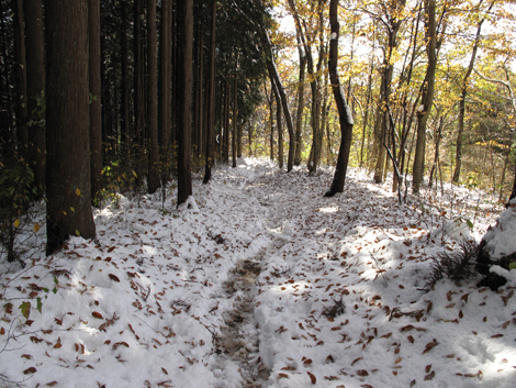 20161125hike (242)